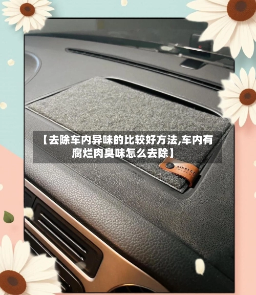 【去除车内异味的比较好方法,车内有腐烂肉臭味怎么去除】-第2张图片
