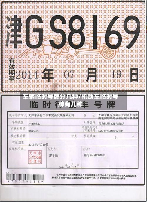车辆临时号牌分几种/机动车临时号牌有几种
