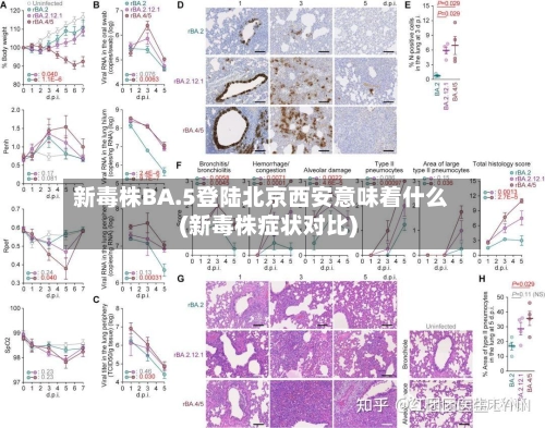 新毒株BA.5登陆北京西安意味着什么(新毒株症状对比)