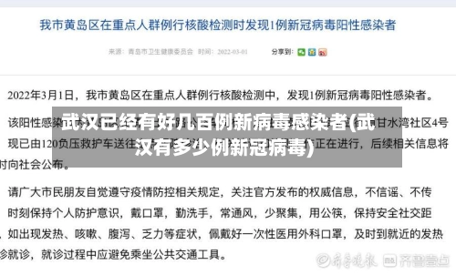 武汉已经有好几百例新病毒感染者(武汉有多少例新冠病毒)