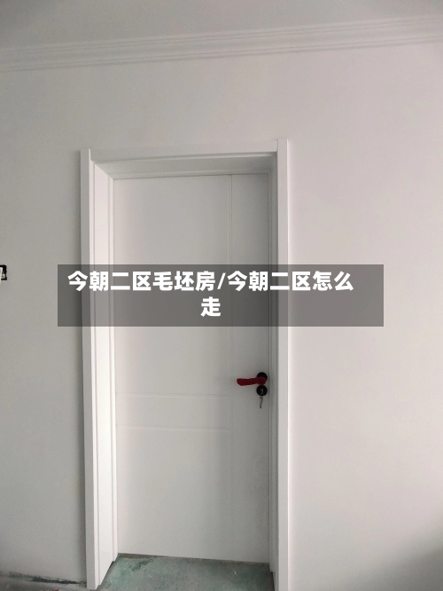 今朝二区毛坯房/今朝二区怎么走-第3张图片