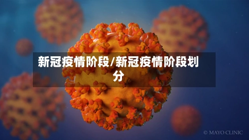 新冠疫情阶段/新冠疫情阶段划分