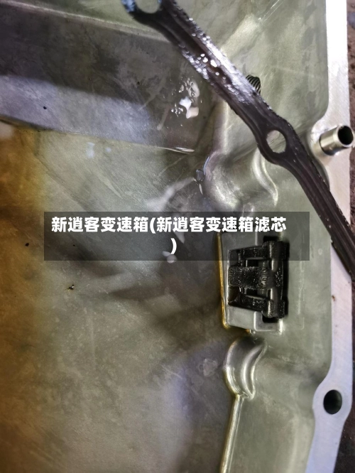 新逍客变速箱(新逍客变速箱滤芯)