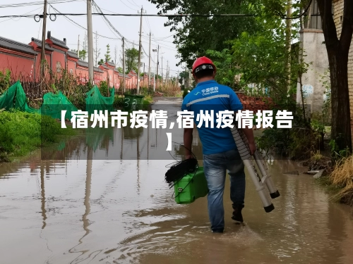 【宿州市疫情,宿州疫情报告】