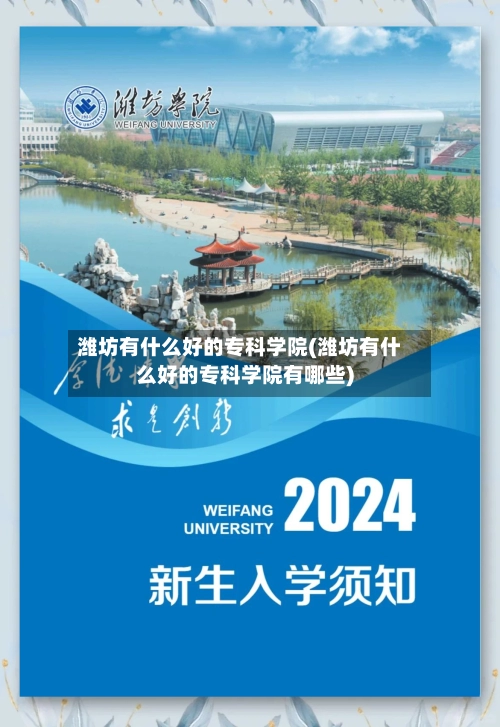 潍坊有什么好的专科学院(潍坊有什么好的专科学院有哪些)