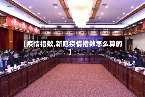 【疫情指数,新冠疫情指数怎么算的】