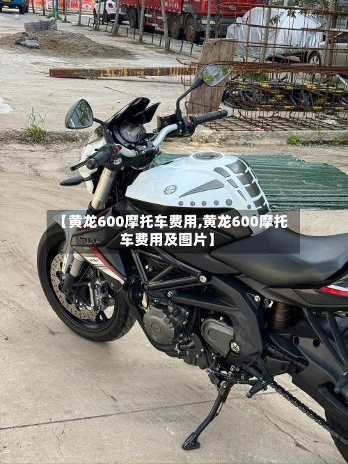 【黄龙600摩托车费用,黄龙600摩托车费用及图片】-第3张图片