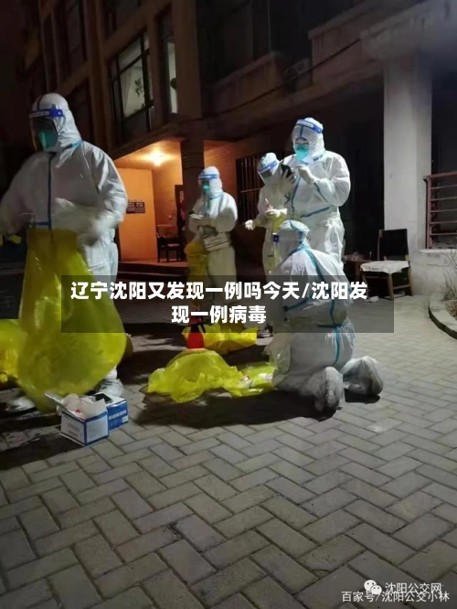 辽宁沈阳又发现一例吗今天/沈阳发现一例病毒-第2张图片