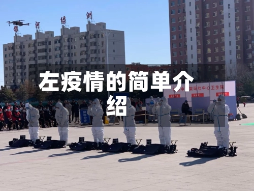 左疫情的简单介绍