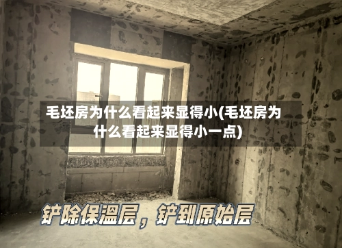 毛坯房为什么看起来显得小(毛坯房为什么看起来显得小一点)