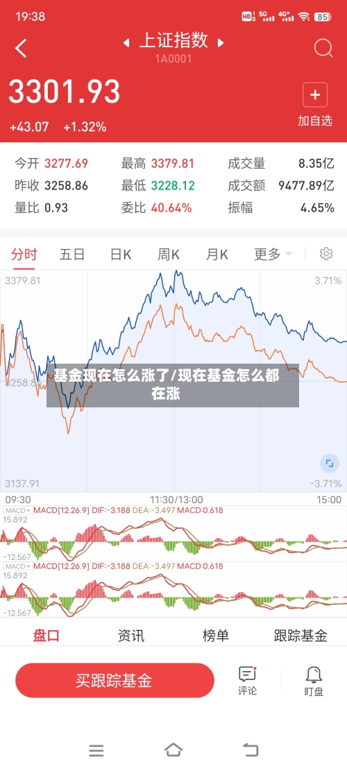 基金现在怎么涨了/现在基金怎么都在涨
