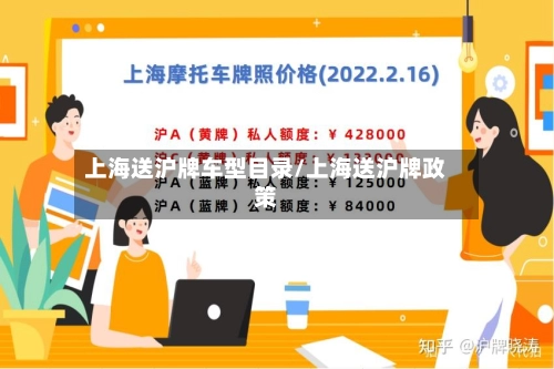上海送沪牌车型目录/上海送沪牌政策