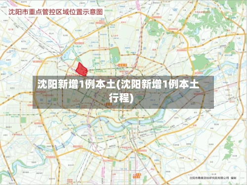 沈阳新增1例本土(沈阳新增1例本土行程)-第3张图片
