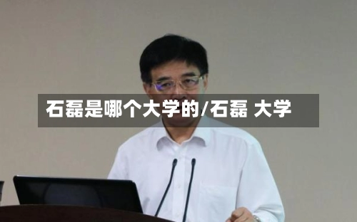 石磊是哪个大学的/石磊 大学