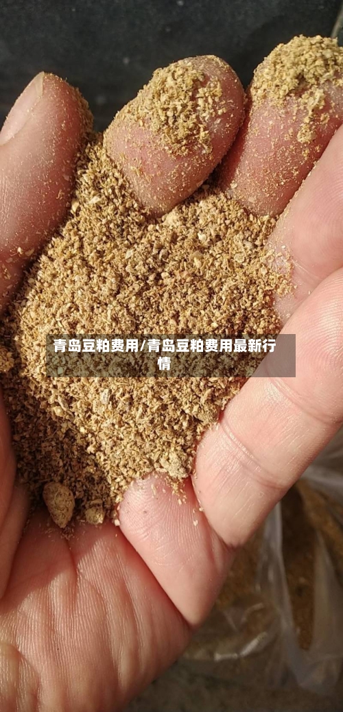 青岛豆粕费用/青岛豆粕费用最新行情-第2张图片