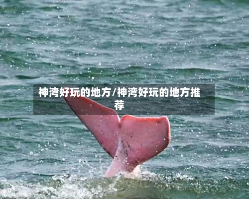 神湾好玩的地方/神湾好玩的地方推荐