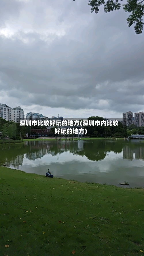 深圳市比较好玩的地方(深圳市内比较好玩的地方)