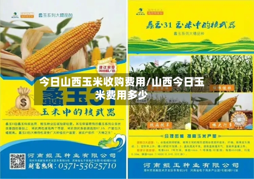 今日山西玉米收购费用/山西今日玉米费用多少-第2张图片