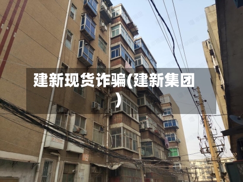 建新现货诈骗(建新集团)