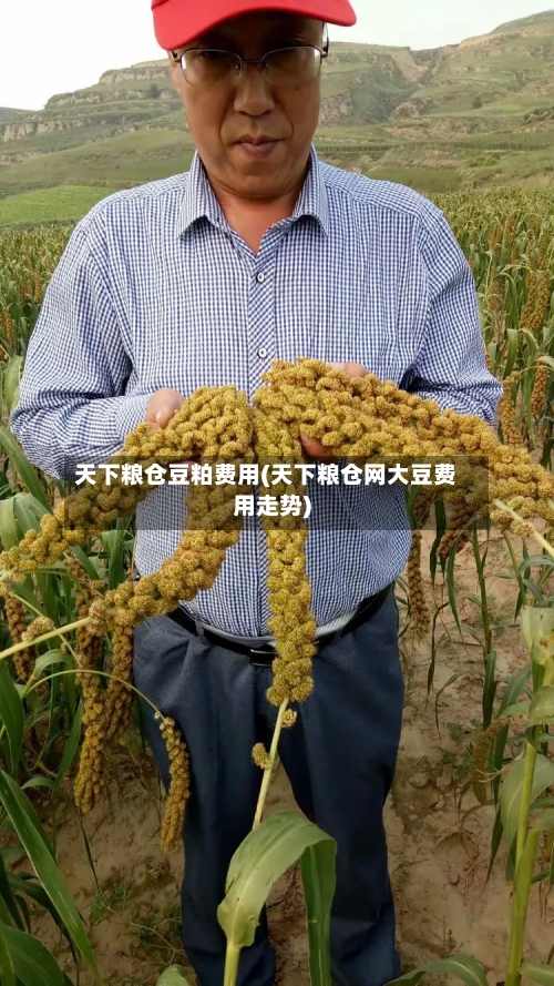 天下粮仓豆粕费用(天下粮仓网大豆费用走势)