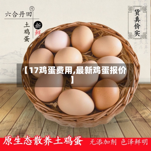 【17鸡蛋费用,最新鸡蛋报价】