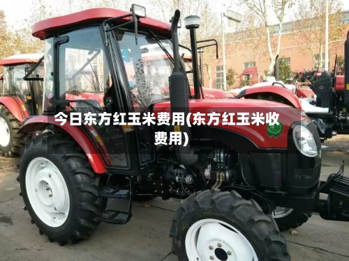 今日东方红玉米费用(东方红玉米收费用)-第3张图片