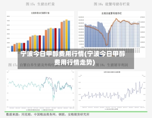 宁波今日甲醇费用行情(宁波今日甲醇费用行情走势)-第2张图片