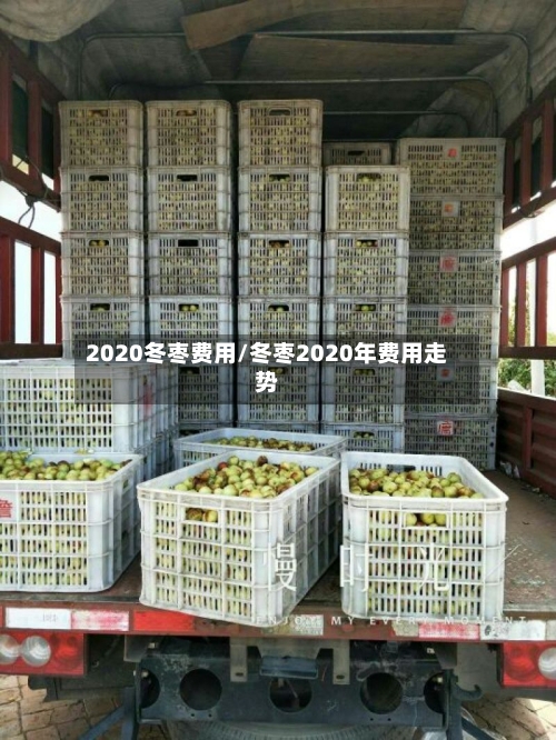 2020冬枣费用/冬枣2020年费用走势-第2张图片