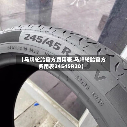 【马牌轮胎官方费用表,马牌轮胎官方费用表24545R20】-第3张图片