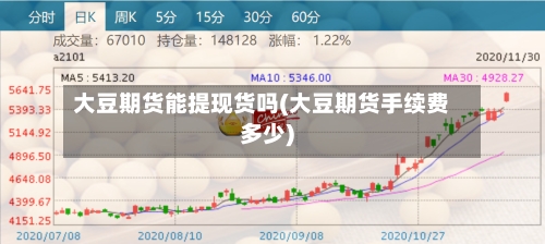 大豆期货能提现货吗(大豆期货手续费多少)-第3张图片