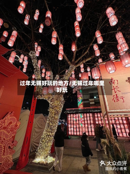 过年无锡好玩的地方/无锡过年哪里好玩