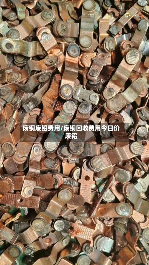 废铜废铅费用/废铜回收费用今日价废铅-第2张图片