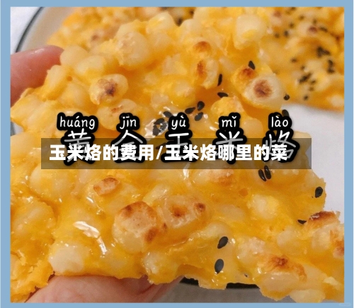 玉米烙的费用/玉米烙哪里的菜-第2张图片