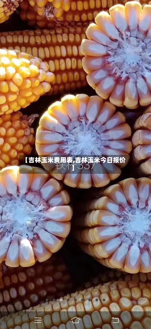【吉林玉米费用表,吉林玉米今日报价】