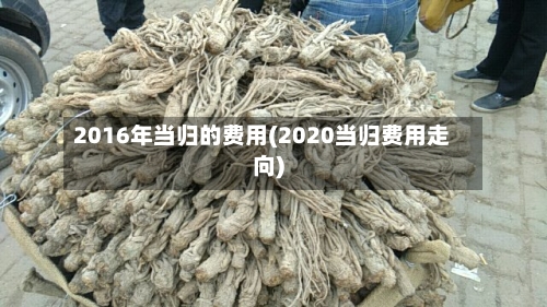 2016年当归的费用(2020当归费用走向)-第2张图片