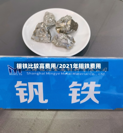 钼铁比较高费用/2021年钼铁费用