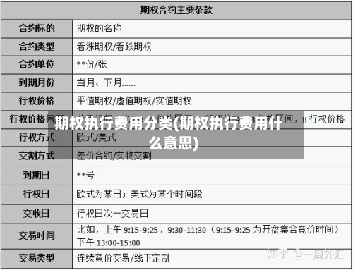 期权执行费用分类(期权执行费用什么意思)