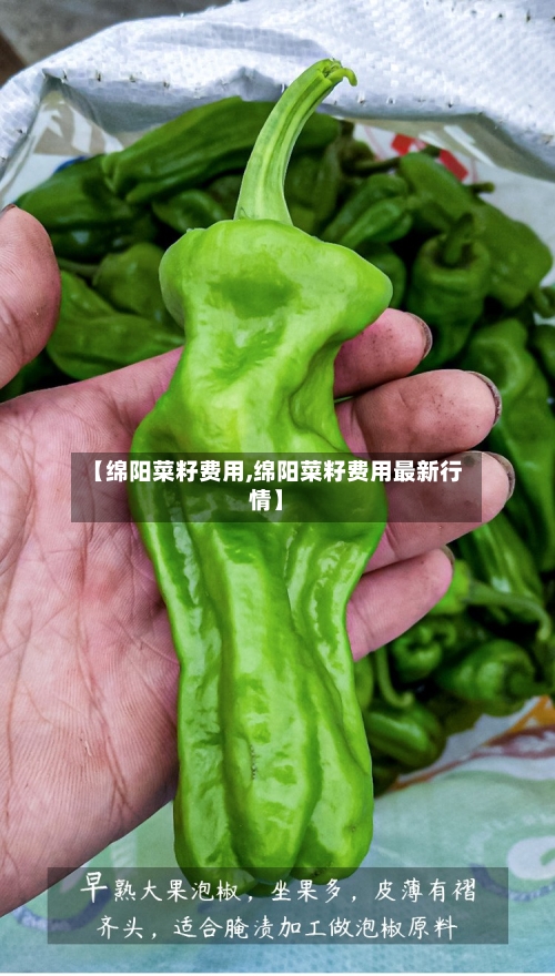 【绵阳菜籽费用,绵阳菜籽费用最新行情】-第2张图片