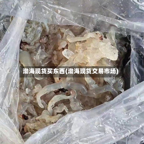 渤海现货买东西(渤海现货交易市场)