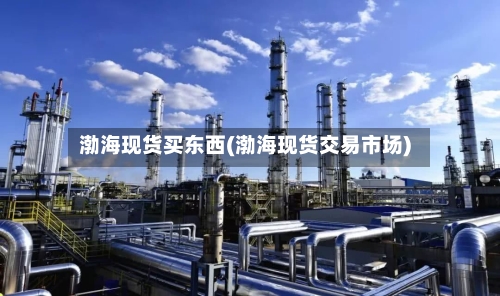 渤海现货买东西(渤海现货交易市场)-第2张图片