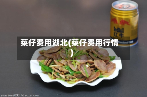 菜仔费用湖北(菜仔费用行情)
