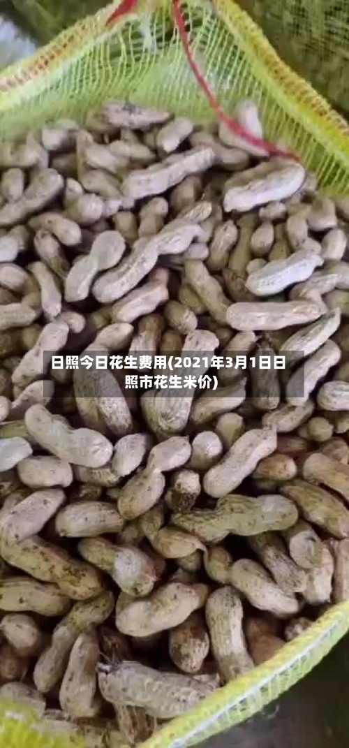 日照今日花生费用(2021年3月1日日照市花生米价)