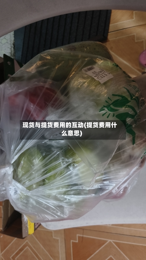 现货与提货费用的互动(提货费用什么意思)