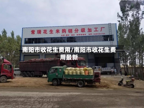 南阳市收花生费用/南阳市收花生费用最新