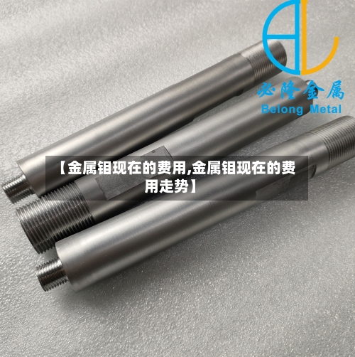 【金属钼现在的费用,金属钼现在的费用走势】