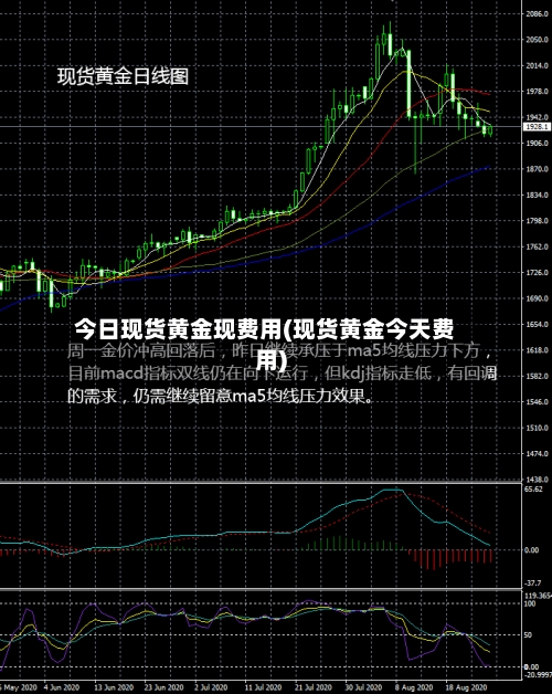 今日现货黄金现费用(现货黄金今天费用)