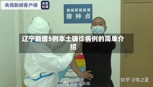 辽宁新增5例本土确诊病例的简单介绍-第2张图片