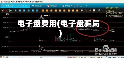 电子盘费用(电子盘骗局)