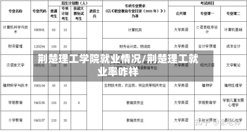 荆楚理工学院就业情况/荆楚理工就业率咋样-第2张图片