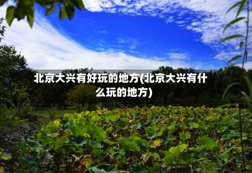 北京大兴有好玩的地方(北京大兴有什么玩的地方)